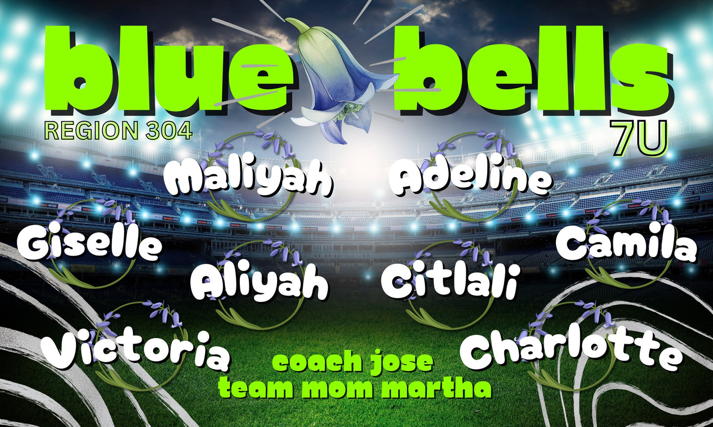 Sports Banner (Pickup or Ship)