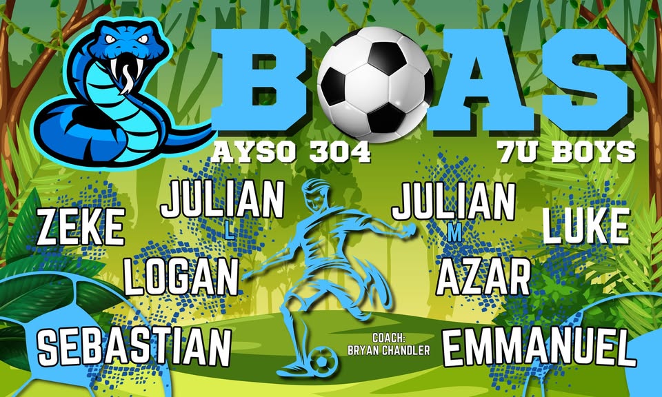 Sports Banner (Pickup or Ship)