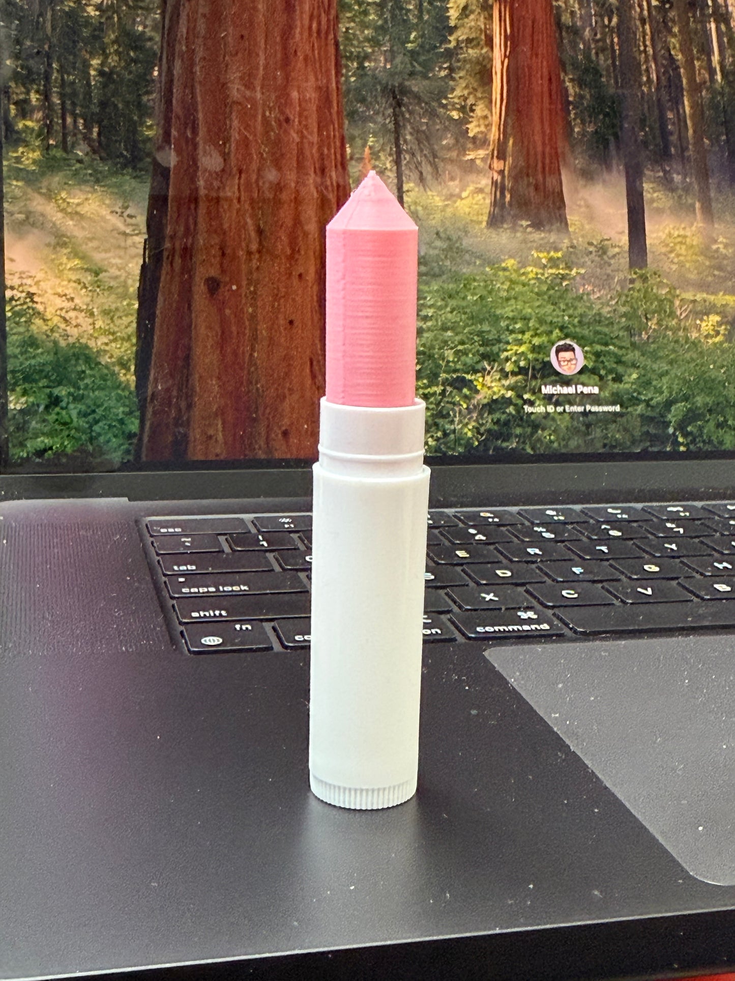 ChapSTIX