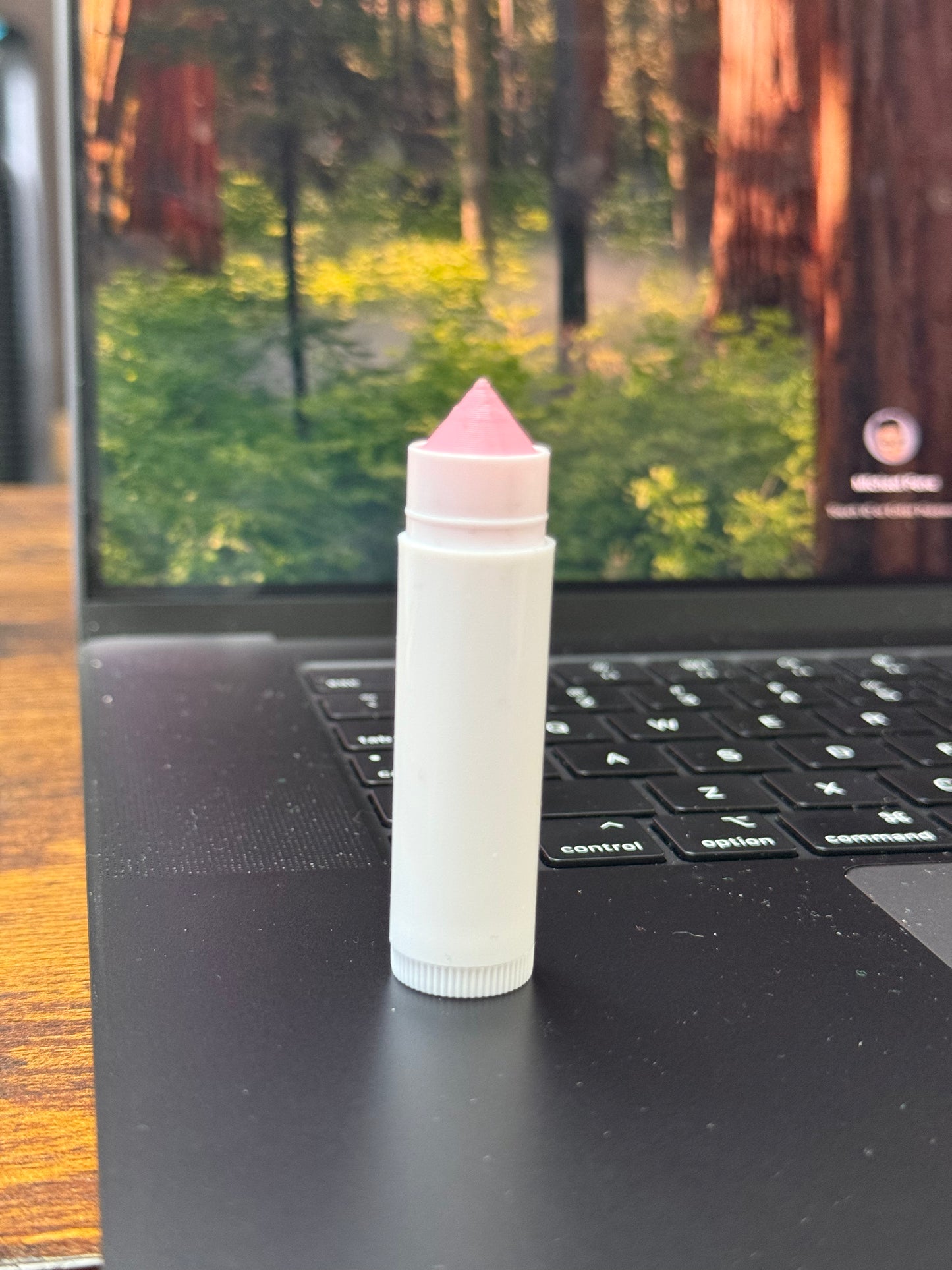 ChapSTIX