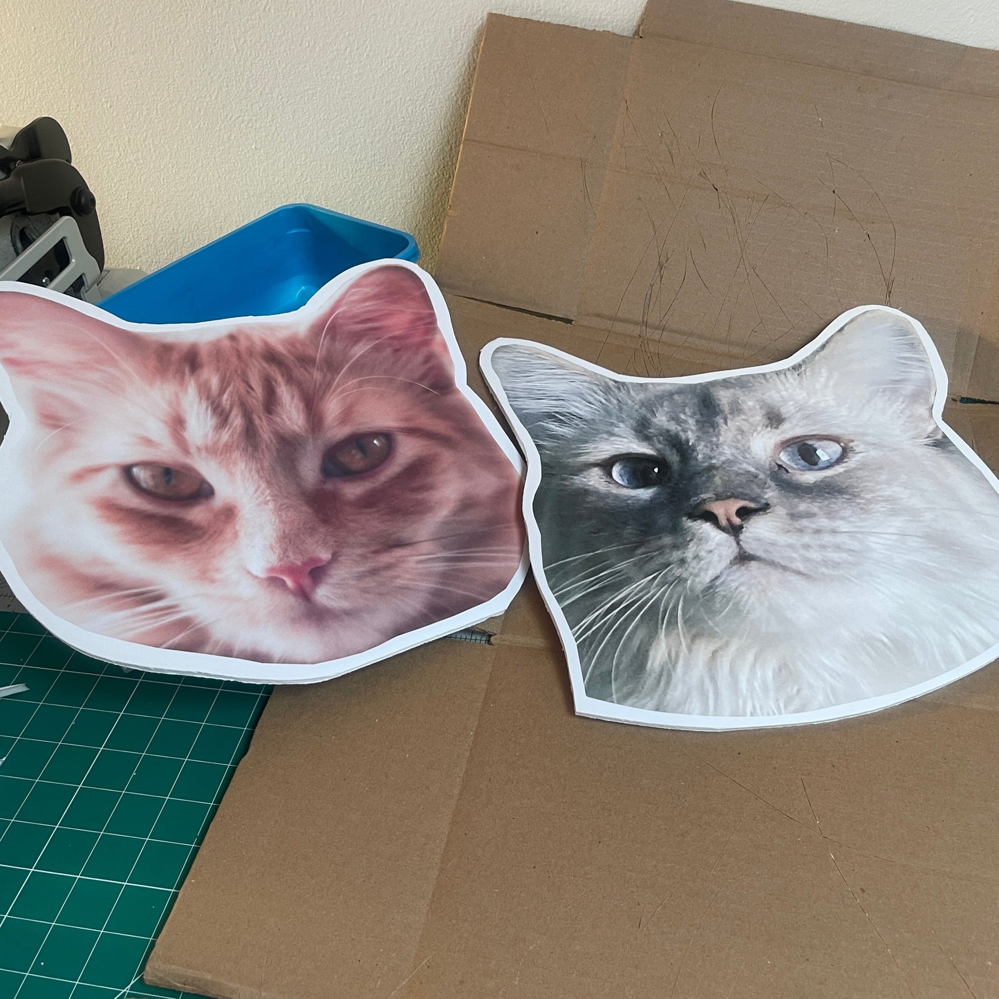805 BIG HEADS