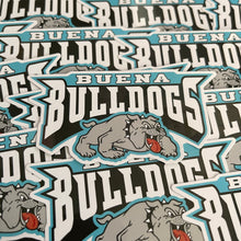 Load image into Gallery viewer, Ventura County Mascot Vinyl Stickers
