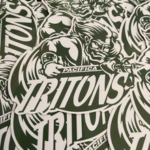 Load image into Gallery viewer, Ventura County Mascot Vinyl Stickers
