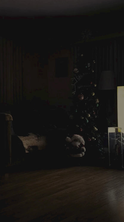 Santa In Your House Video